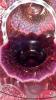 Fenton Plum Opalescent Hand Basket & Cranberry Opalescent Ruffled Edge Vases & Bowl - 23