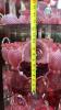 Fenton Plum Opalescent Hand Basket & Cranberry Opalescent Ruffled Edge Vases & Bowl - 32
