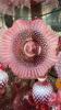Cranberry Opalescent Hobnail Glass Vases & Bowls w/ Ruffled Edges - 14