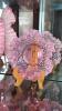 Cranberry Opalescent Hobnail Glass Vases & Bowls w/ Ruffled Edges - 21