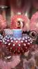 Cranberry Opalescent Hobnail Candle Holders, Glass Bowls & Sugar and Creamer Set - 9