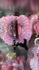 Cranberry Opalescent Hobnail Candle Holders, Glass Bowls & Sugar and Creamer Set - 10