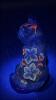 Fenton Cobalt Blue & Iridescent Blue Animal Figurines - 3