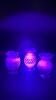 Cranberry Opalescent Hobnail Glass Pitchers, Vases & Hand Baskets - 59