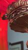 Poppy Ruby Red Gone With The Wind Electric Parlor Lamp w/ Mini Tea Set - 8