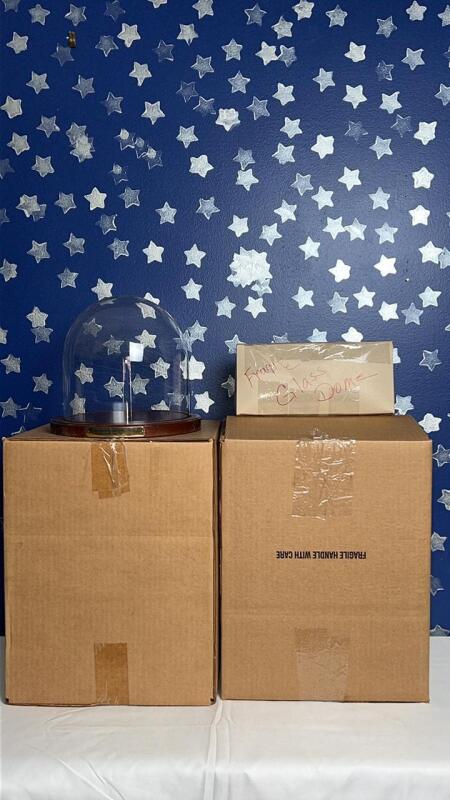 Clear Glass Display Cloche Domes w/ Round Wooden Bases (3)