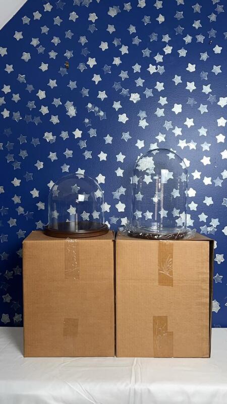 Clear Glass Display Cloche Domes w/ Round Wooden Bases (4)