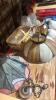 Home Decor - 7