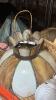Home Decor - 11