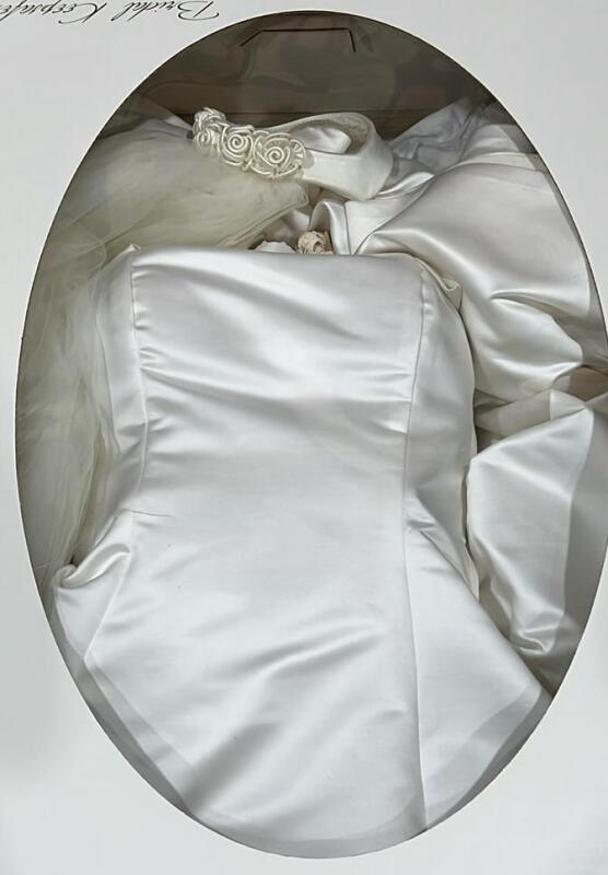 Bridal Keepsake Preserved Wedding Dress