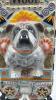 Mosaic Woof Wall Tile - 3