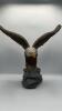 American Bald Eagle Figurine - 5