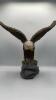 American Bald Eagle Figurine - 6