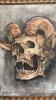 Ram Horn Skull Art - 2