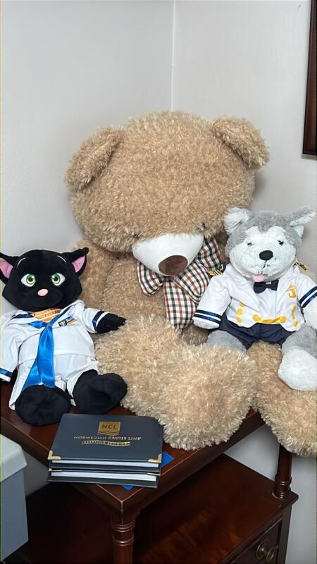 Cruise Line Plush Toys & Photographs