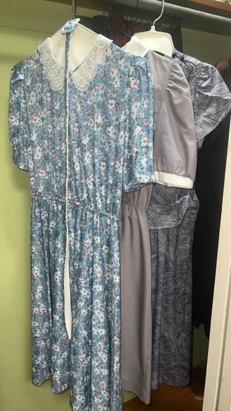 Vintage Ladies Dresses (3)