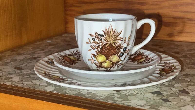 Vintage Royal Wessex Swinnertons "Desire" Pattern Ironstone Cup and Saucer Set