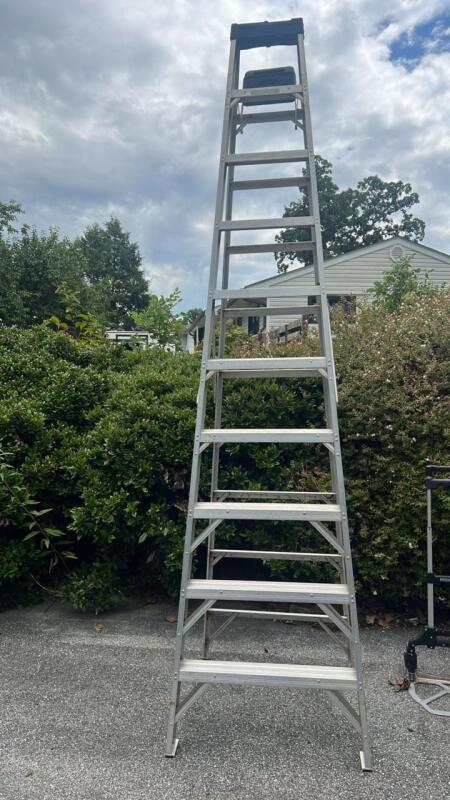 Werner 10ft Ladder