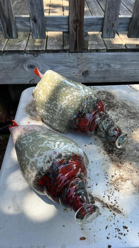 Glass Sea Shells (2)