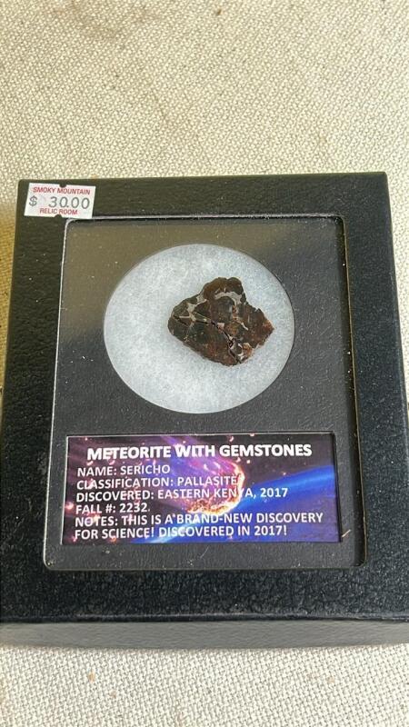 Meteorite with Gemstones