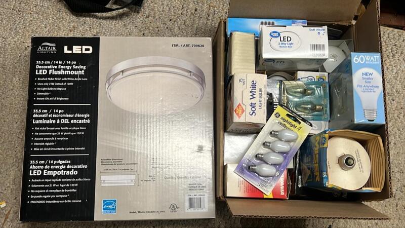 Light Bulbs