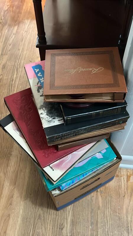 Vinyl Records (LARGE LOT)