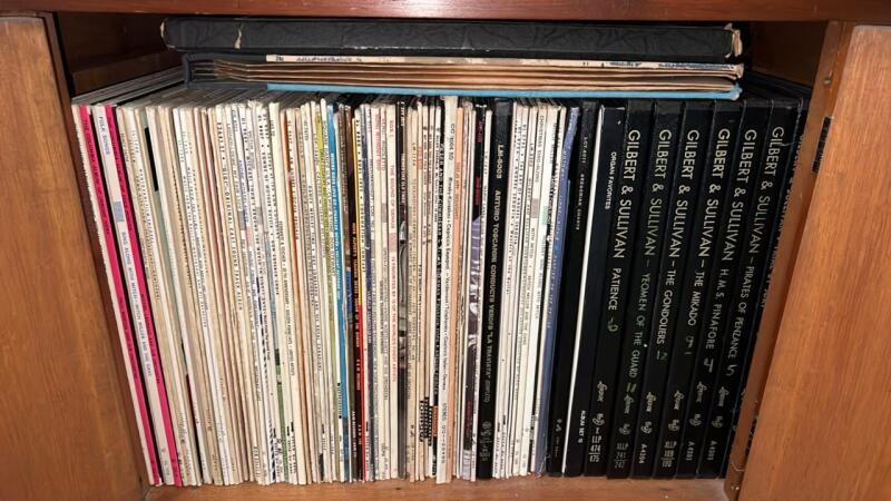 Vinyl Records (LARGE LOT)